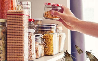 Une Astuce Rare Et Simple Pour Éliminer Les Mites Alimentaires