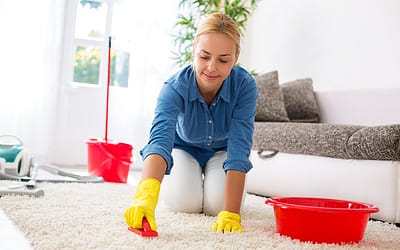 Les Secrets D’un Nettoyage Pour Un Tapis À Poils Longs