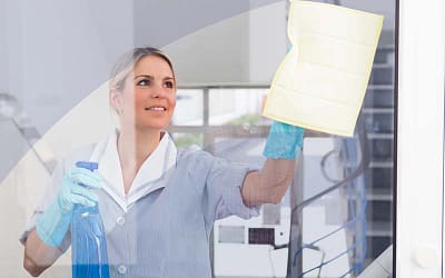 Les Secrets Pour Choisir Les Meilleurs Produits Pour Nettoyer Vos Vitres