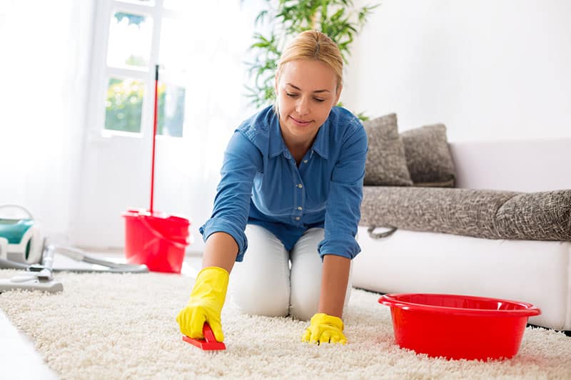 Les Secrets D’un Nettoyage Pour Un Tapis À Poils Longs