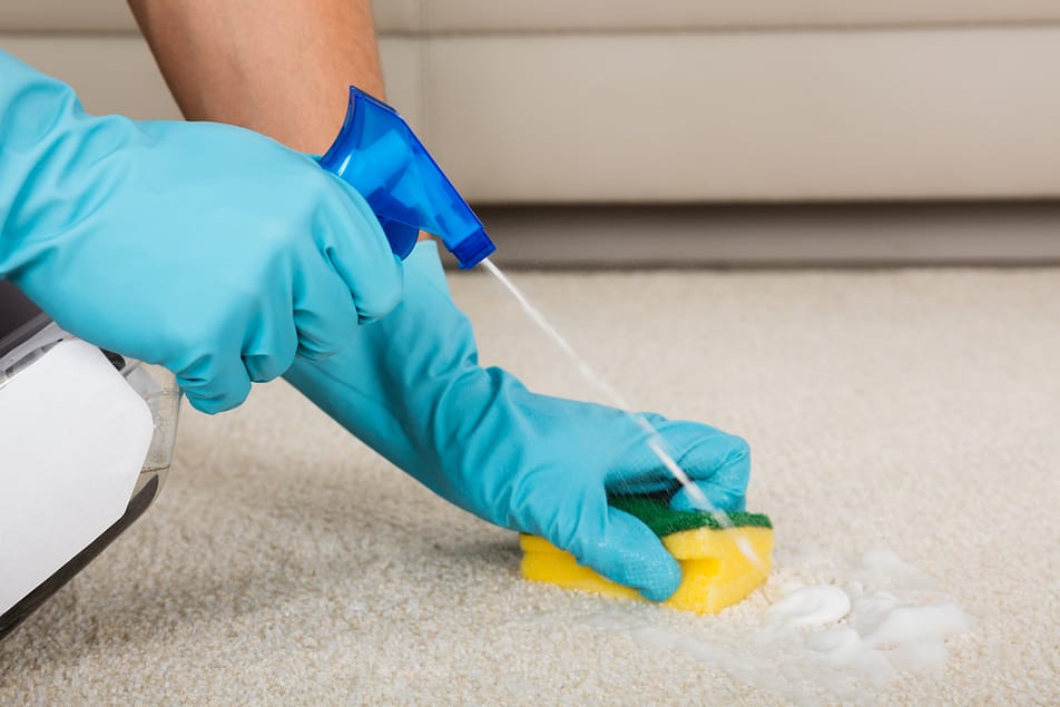 femme de menage nettoie une tache sur un tapis